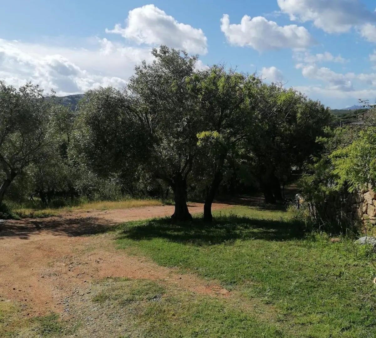 Casa Orecchioni Arzachena 0*,