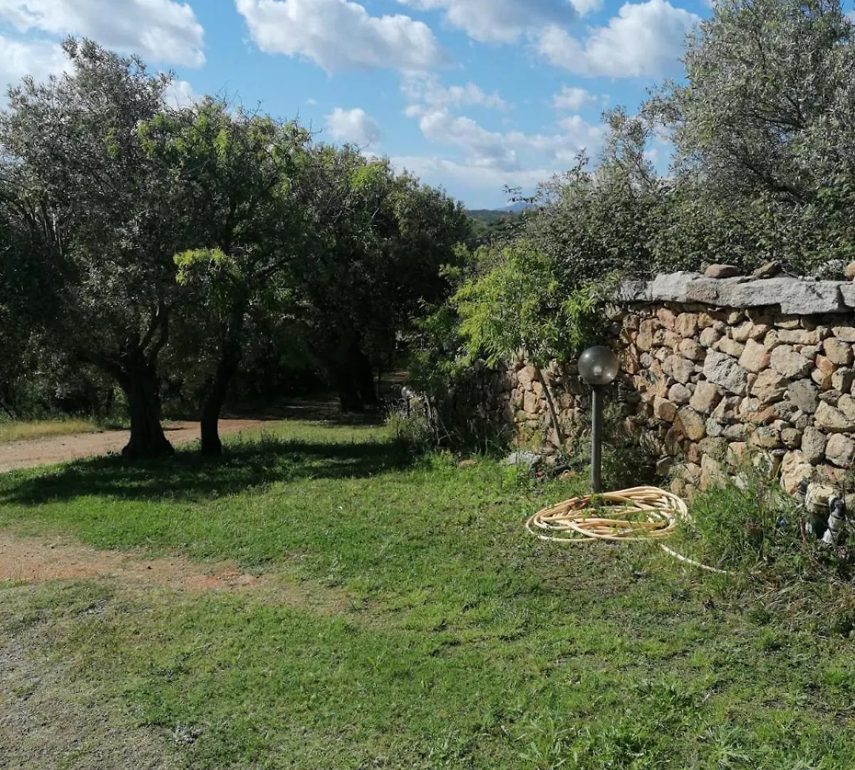 Affittacamere Casa Orecchioni Arzachena